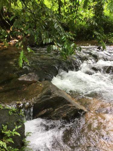 Shadow Grove Camping & Cabins Kitulgala