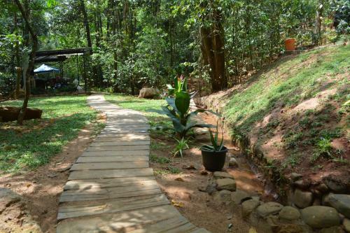 Shadow Grove Camping & Cabins Kitulgala