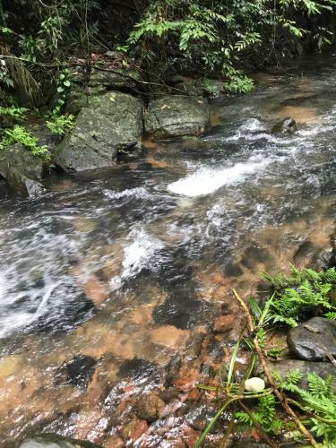Shadow Grove Camping & Cabins Kitulgala
