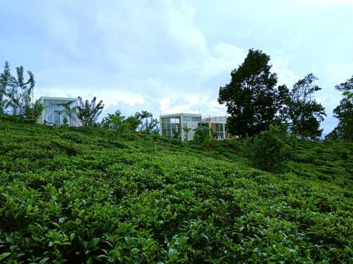 Hotel Nelinsa Resort And Spa