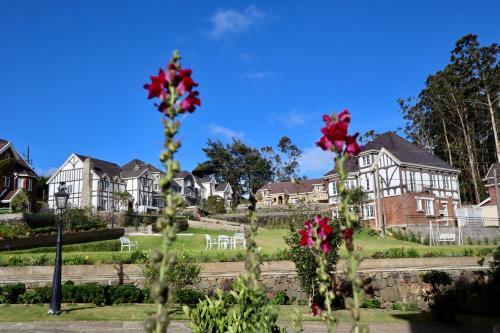 Hotel Rose Manor