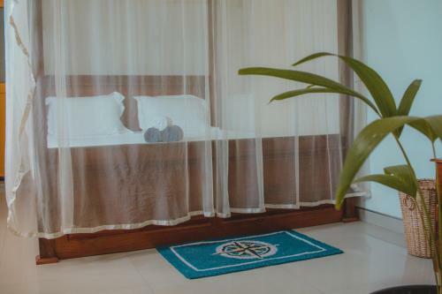 Bed & Breakfast Aloha Villa