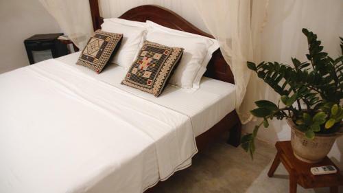 Bed & Breakfast Aloha Villa