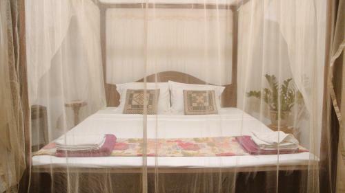 Bed & Breakfast Aloha Villa