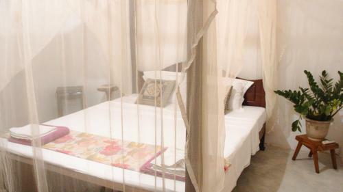 Bed & Breakfast Aloha Villa