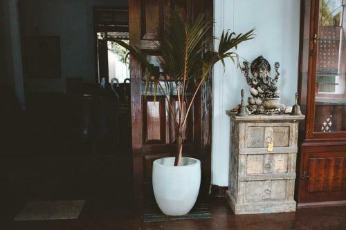 Bed & Breakfast Aloha Villa