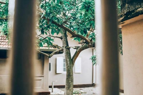 Bed & Breakfast Aloha Villa