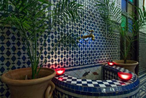 Hostal Riad Taha Fez Morocco