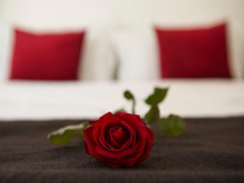 Hostal Room In Bb - Suite Nomade In Luxurious Riad - Marrakech Spa And Massage