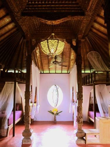 Dragonfly Village
