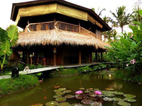 Dragonfly Village