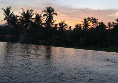 Hostal Frangipani Villas