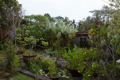 Hostal Rumah Sungai Villa