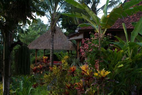 Hostal Rumah Sungai Villa