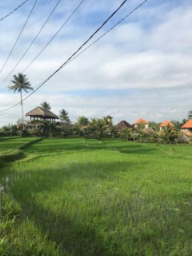 Hostal Rumah Sungai Villa