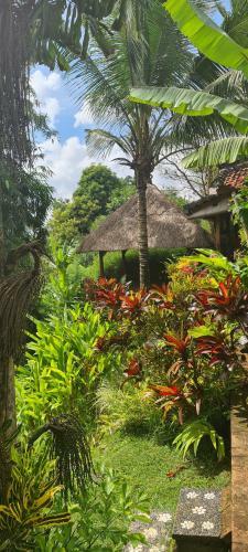 Hostal Rumah Sungai Villa