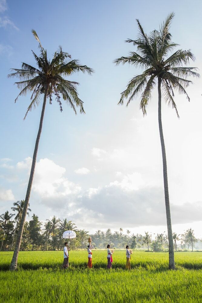 Hotel Anulekha Resort And Villa