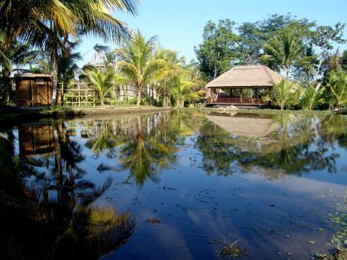 Hostal Prashanti Bali