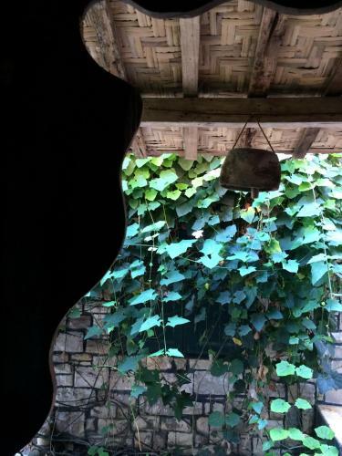 Hostal Mango Tree Dipudjo