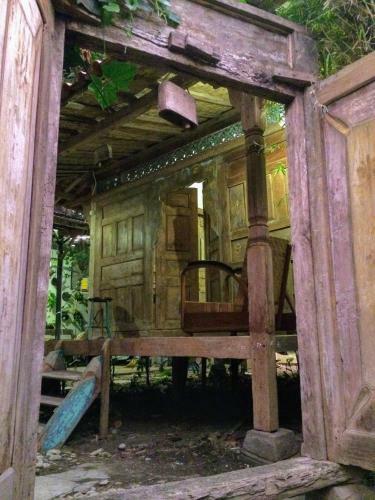 Hostal Mango Tree Dipudjo