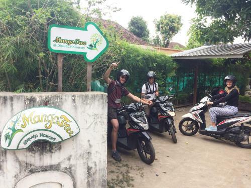 Hostal Mango Tree Dipudjo