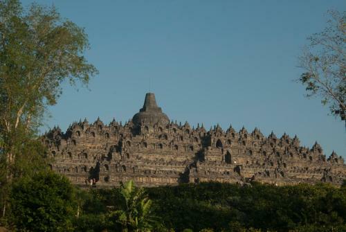 Hostal Mango Tree Dipudjo