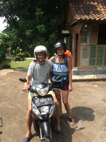 Hostal Mango Tree Dipudjo
