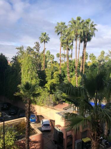 Apartamento Mirador Majorelle Yves Saint Laurent