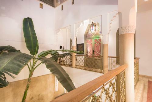 Riad Hissan