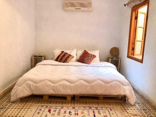 Riad Palm 30