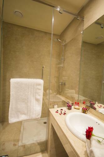 Hotel H�tel Racine