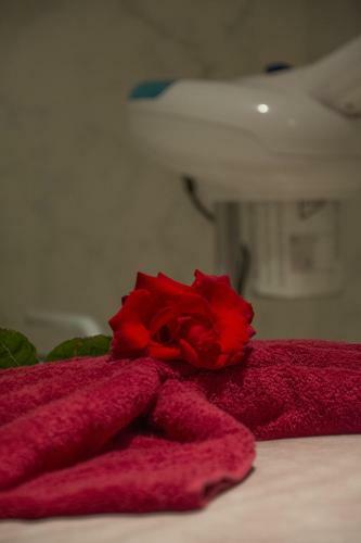 Hotel H�tel Racine