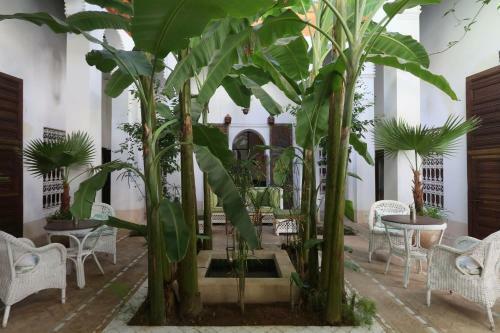 Riad Palais Chadmi