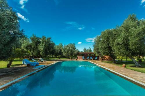 Villa Les Oliviers - A Setting Of Tranquility