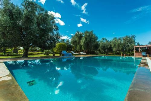 Villa Les Oliviers - A Setting Of Tranquility