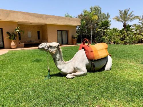 Hostal Marrakech Retreat By La Siredrah