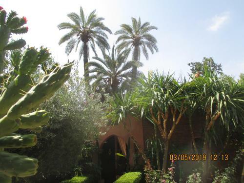 Villa Eden Palm
