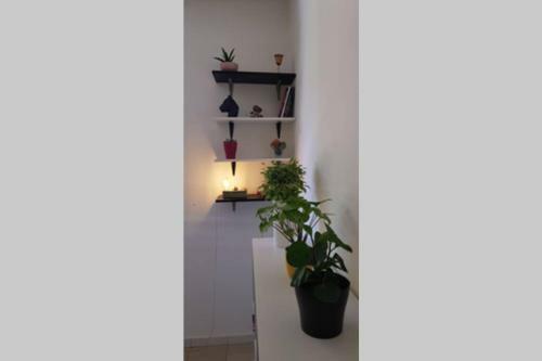 Apartamento Minimalius : Convivialit� Et Simplicit�