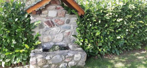 River Apartman Mirovic