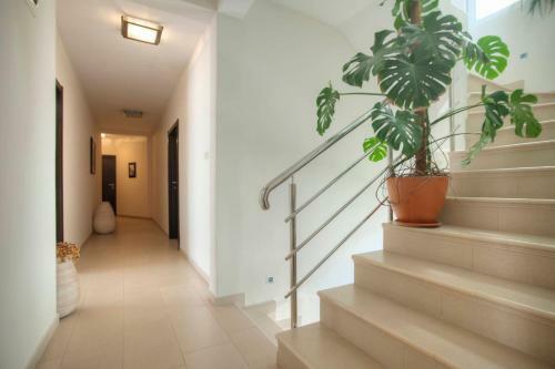 Mandir Apartments - Center