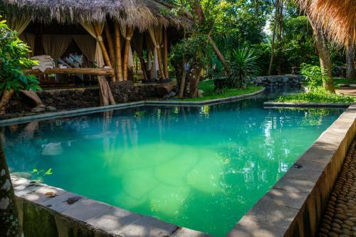 Hostal Omunity Bali
