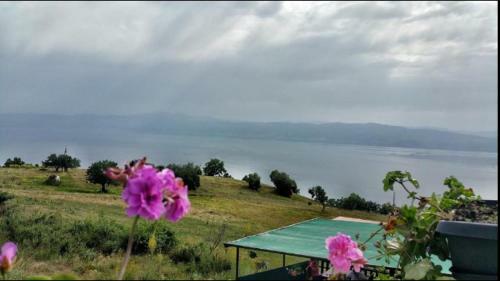 Apartamento Kompleks Minami