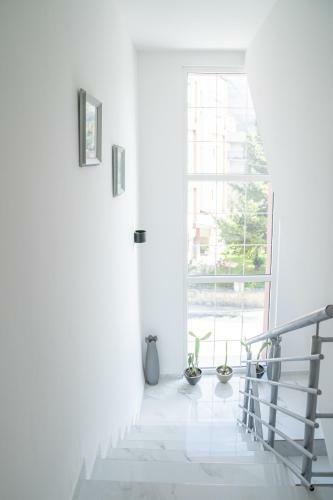 Bed & Breakfast Villa Misija