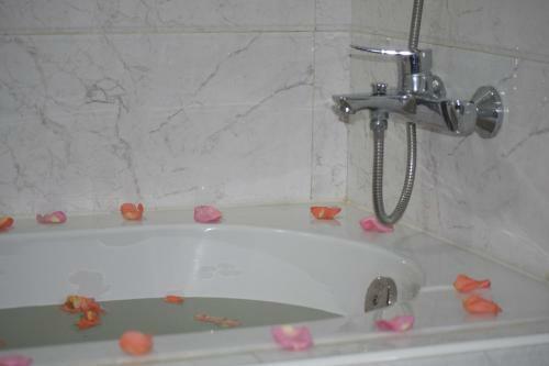 Sat Sun Hotel