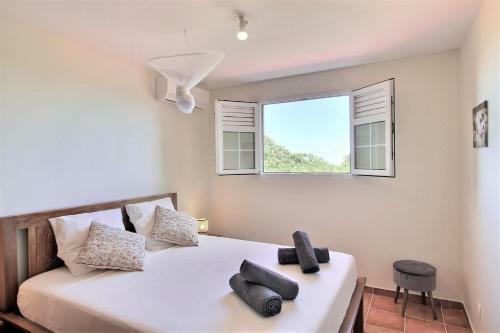 Villa M�rit�e : 3 Ch, V�g�tation Luxuriante Et Grande Piscine