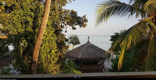 Bed & Breakfast Maafushi Seven Corals