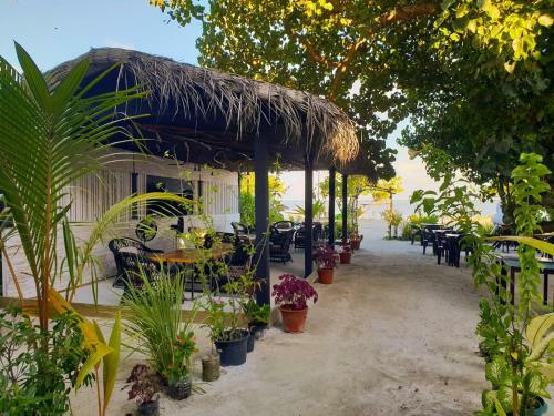 Bed & Breakfast Maafushi Seven Corals