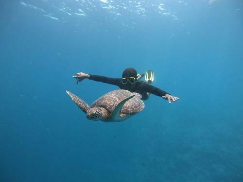 Hotel Hudhuvelimaldives