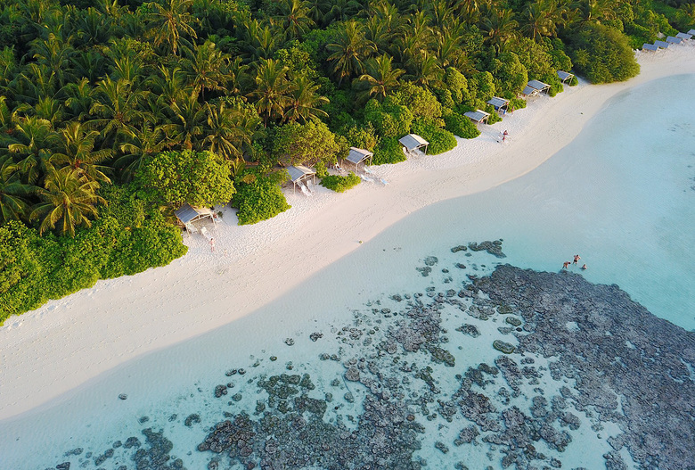 Hostal Plumeria Maldives