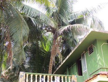 Hostal Jes Guest House
